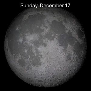 Meet your Posher, Bobb